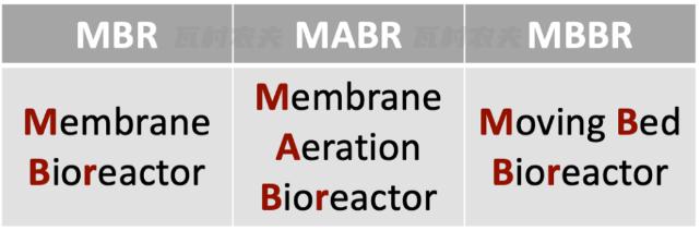 SBOBET���ǡ�(�й�����)�ٷ���վ