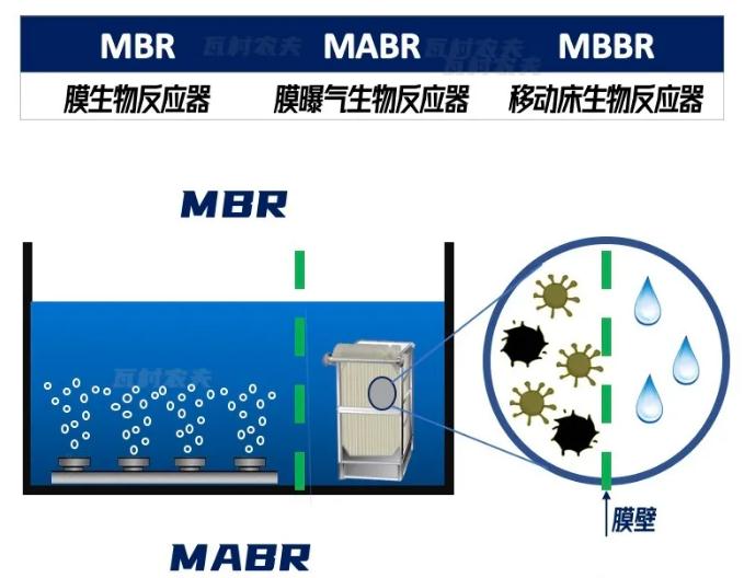 SBOBET���ǡ�(�й�����)�ٷ���վ