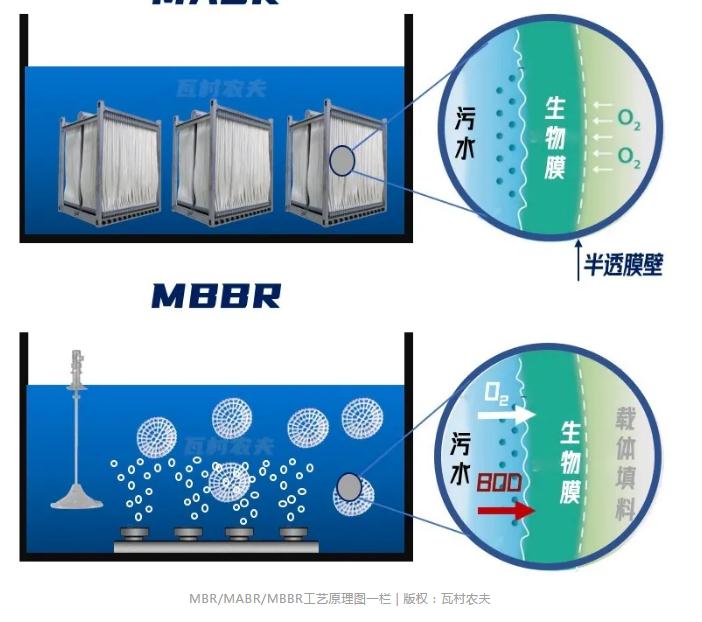 SBOBET���ǡ�(�й�����)�ٷ���վ