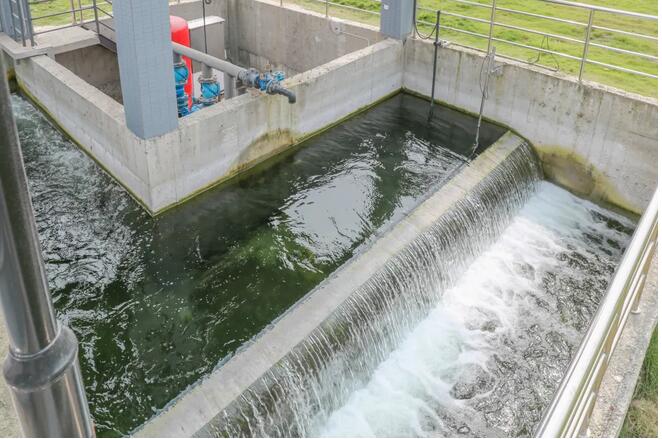 SBOBET���ǡ�(�й�����)�ٷ���վ