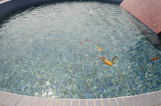 SBOBET���ǡ�(�й�����)�ٷ���վ